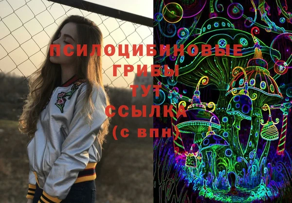 шишки Лихославль