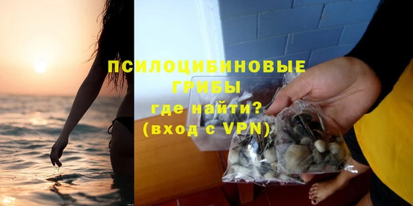 шишки Лихославль