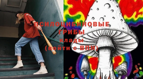 кокс Липки