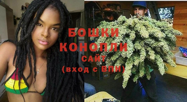 шишки Лихославль