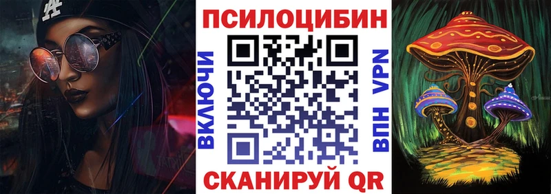 Псилоцибиновые грибы Magic Shrooms  наркота  Гвардейск 